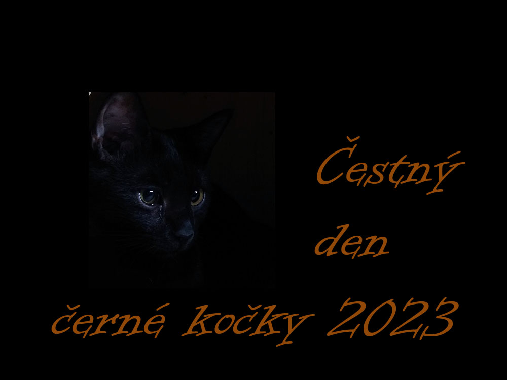 Čestný den černé kočky 2023: Potřeste tlapkou všem černým kožíškům