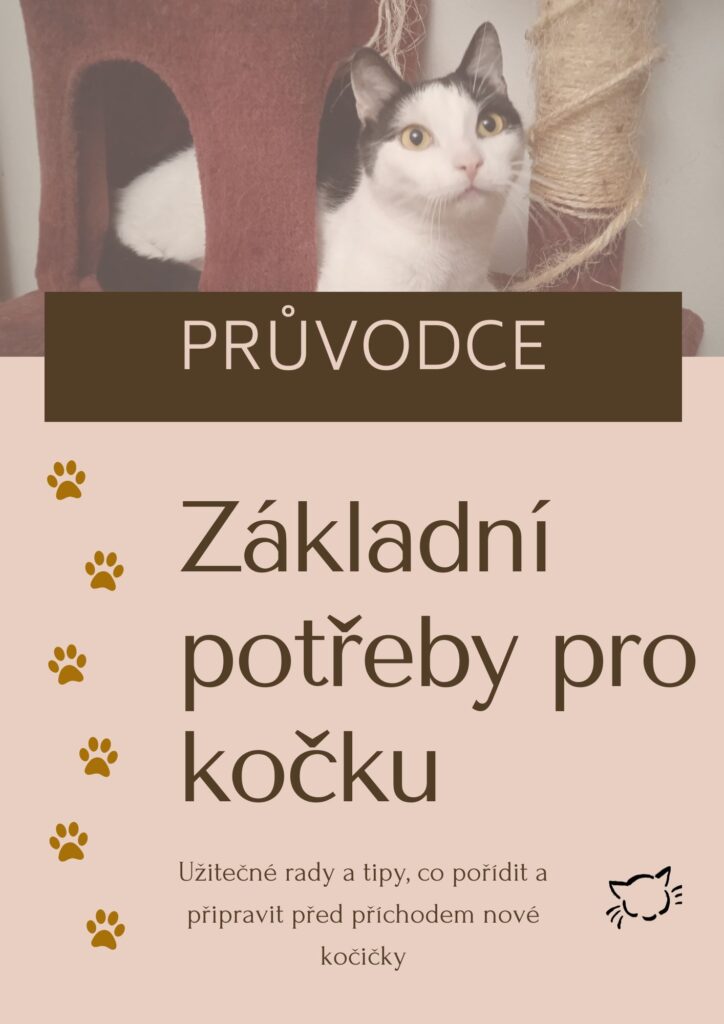 e-book průvodce